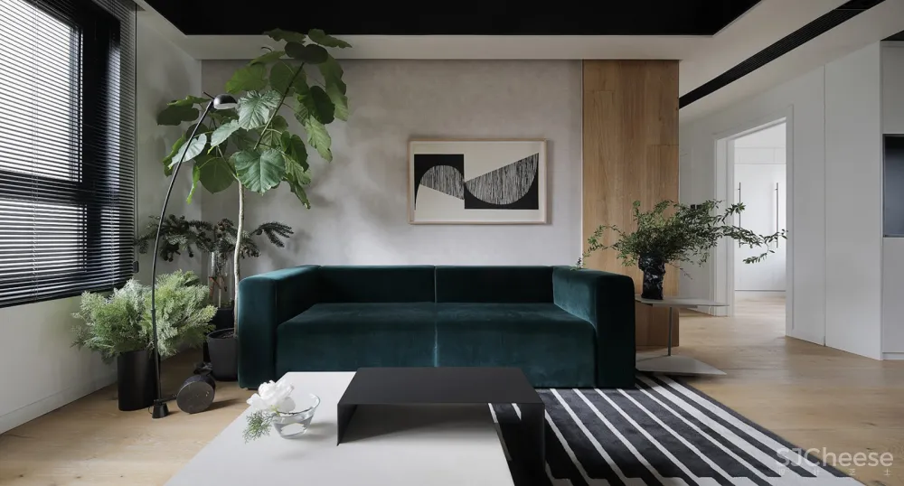 人与猫的四口之家 张冬月