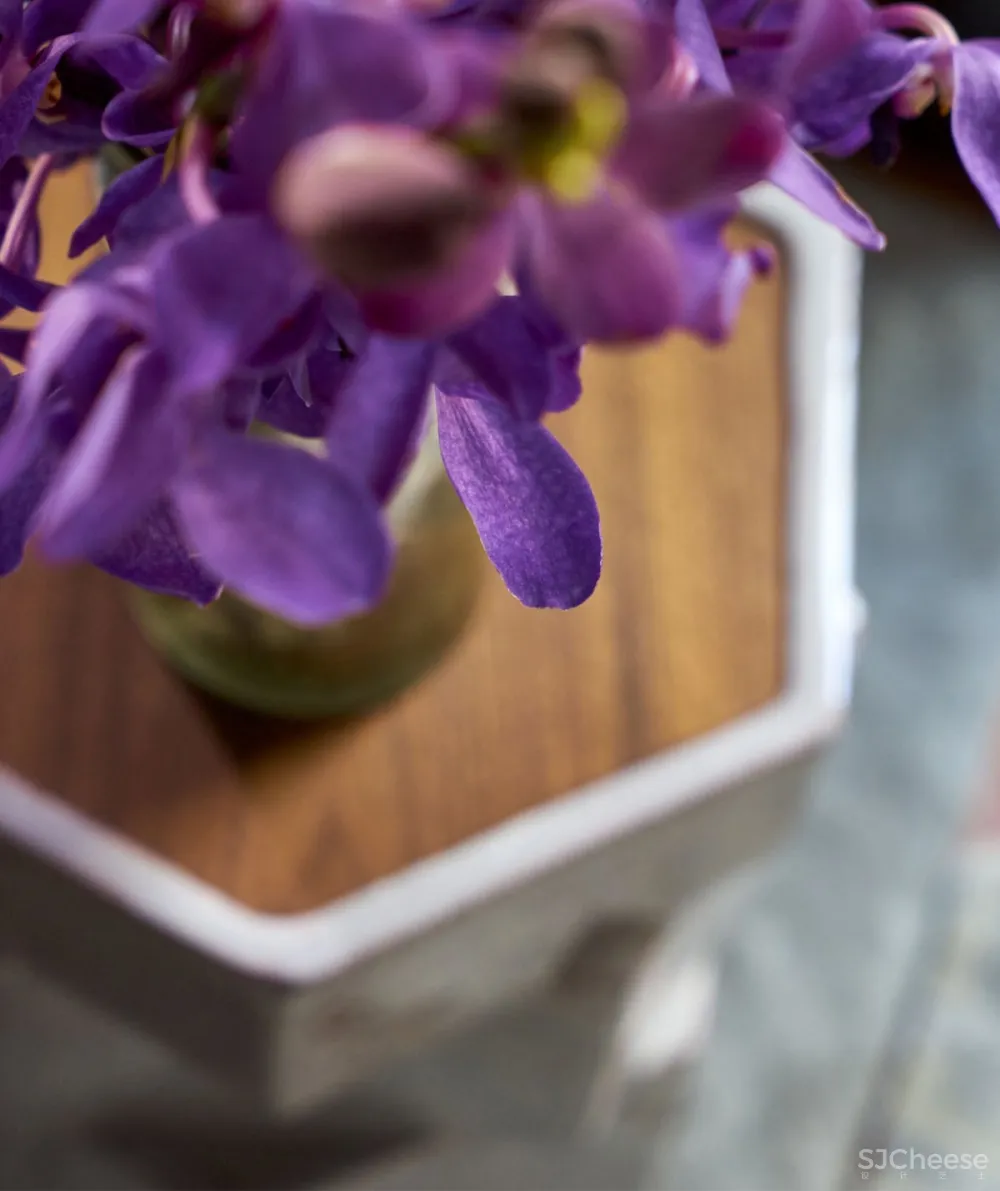 Elena Frampton | Brooklyn Heights , 在经典的空间中激发精神