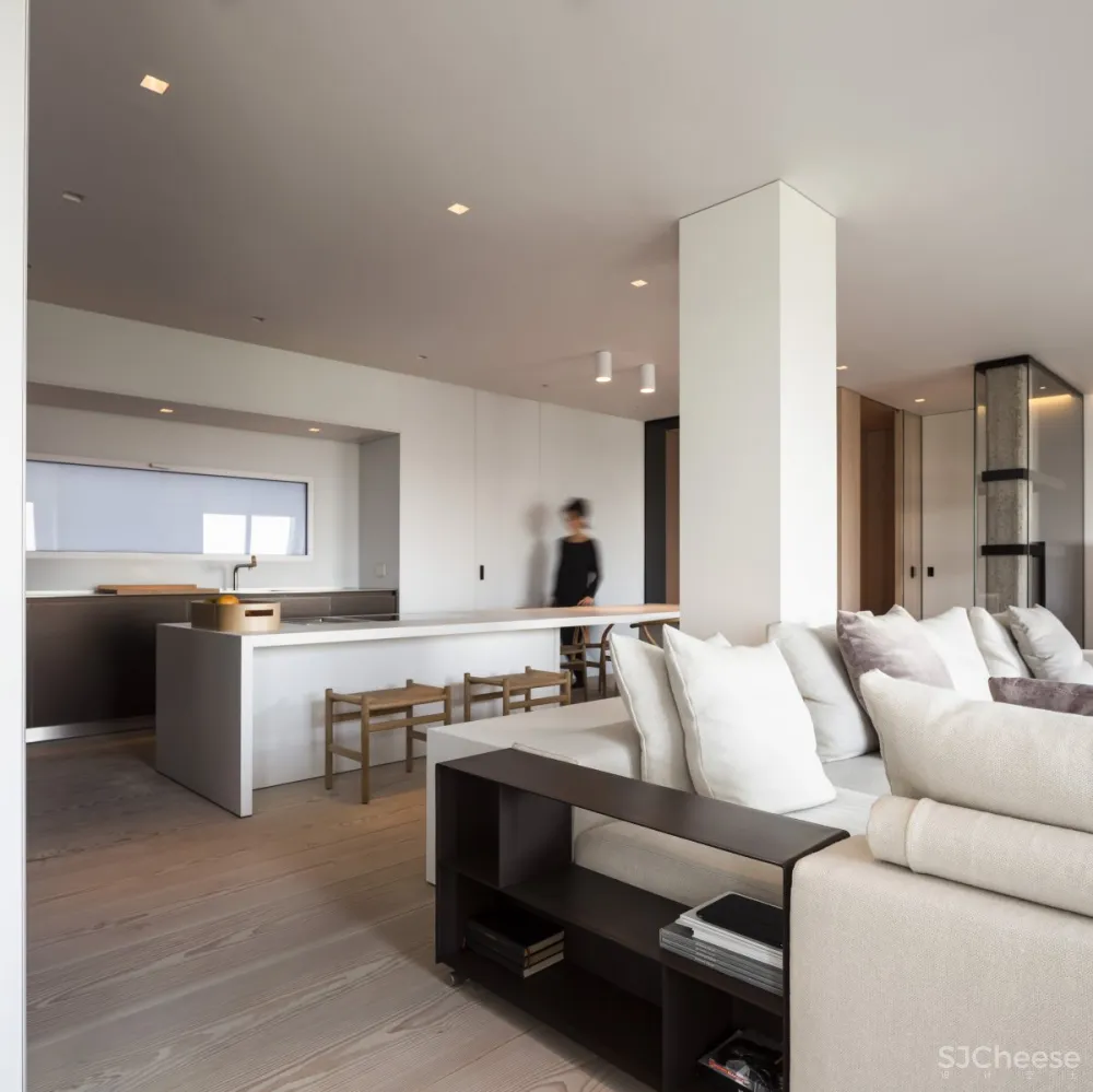 Francesc Rifé | BG Apartment , 经典建筑的顶层公寓