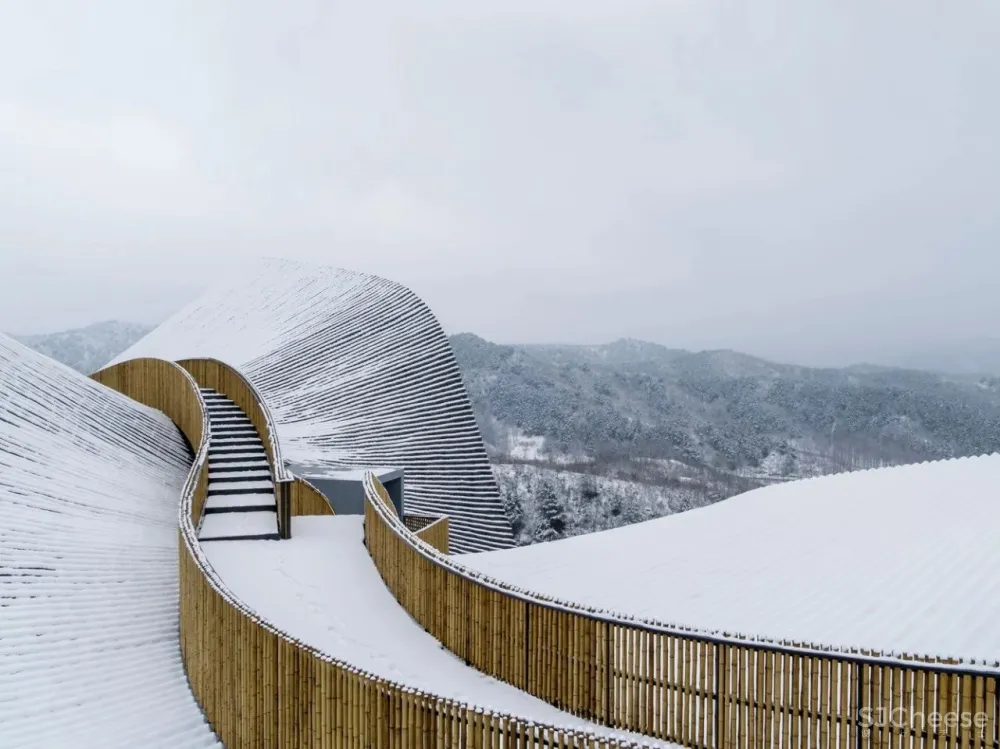 30座国内最值得一看的美术馆设计