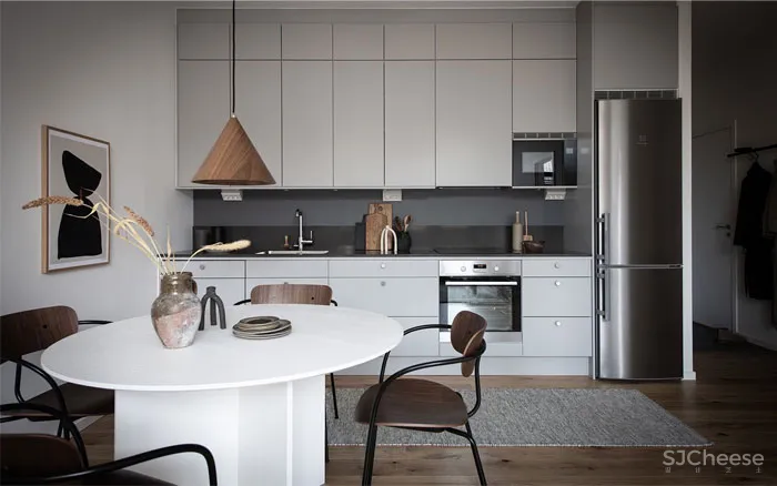 小型斯堪的纳维亚风格公寓