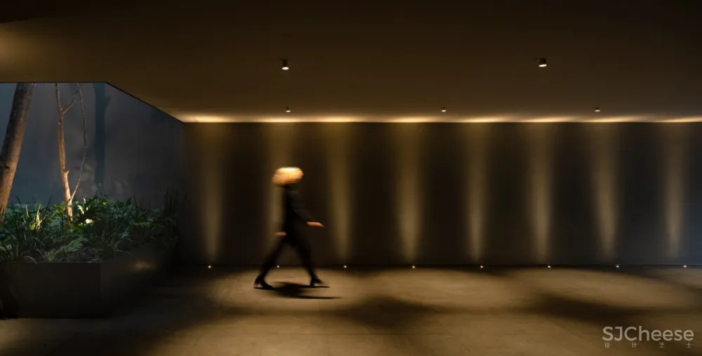 Francesc Rifé | ADH House , 具有秩序感的极简别墅