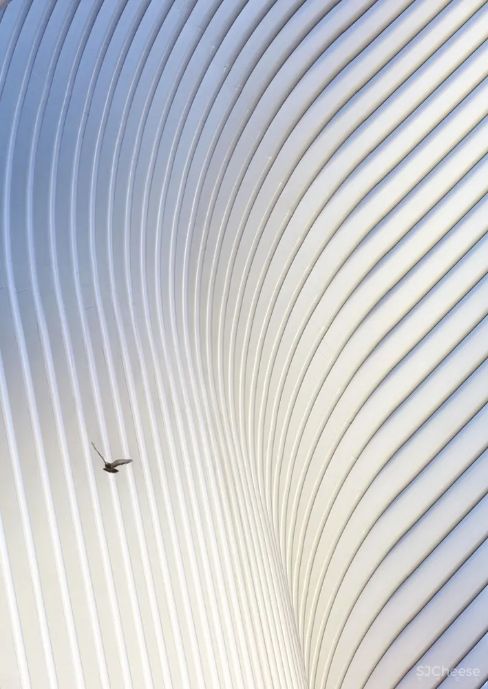 World Trade Center Transportation Hub Santiago Calatrava