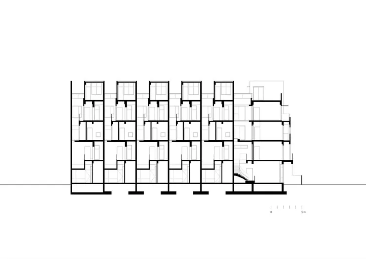 北伦敦园中健身屋 EASTWEST ARCHITECTURE