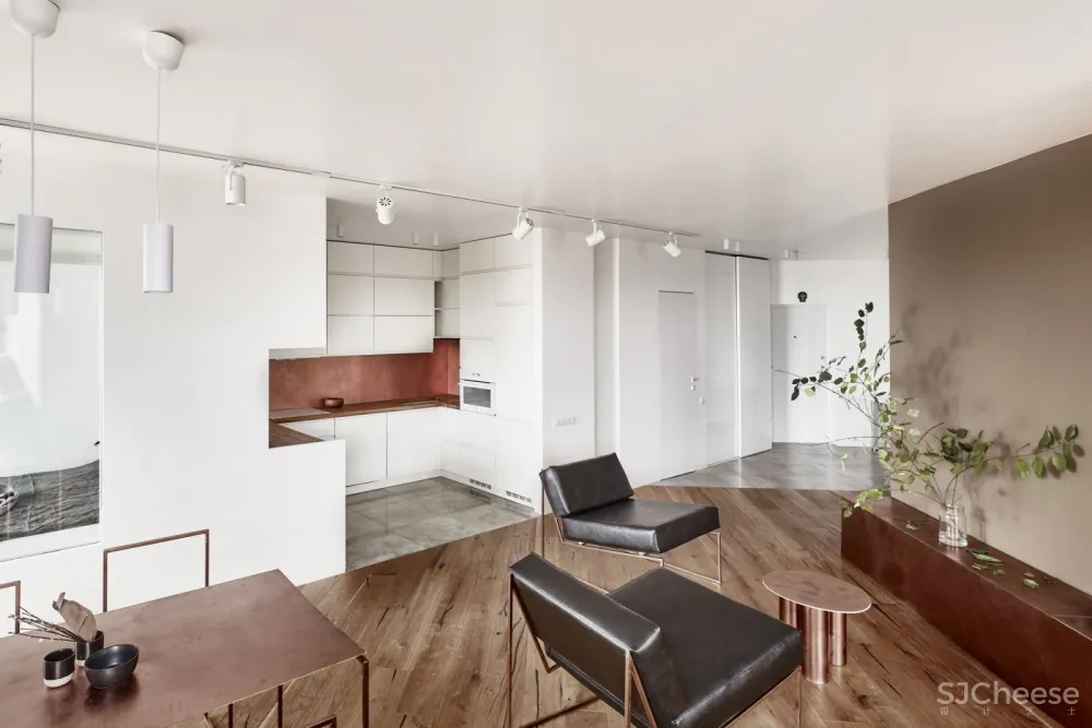 远离喧嚣·莫斯科极简住宅 Ruetemple Studio