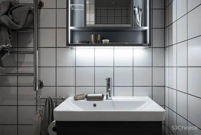 小型斯堪的纳维亚风格公寓