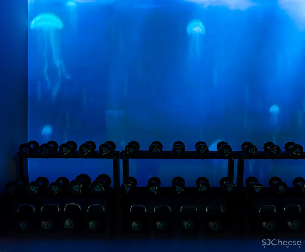 故事空间设计 | 西安私人定制健康管理中心