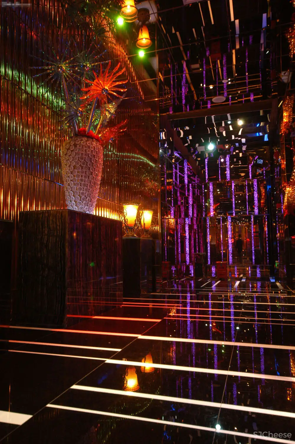 温州宝丽金新南亚会所-2