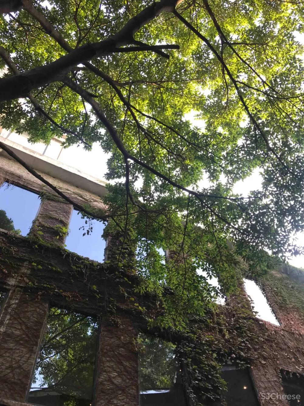 重庆印制一厂山鬼精品酒店改造 寻常设计