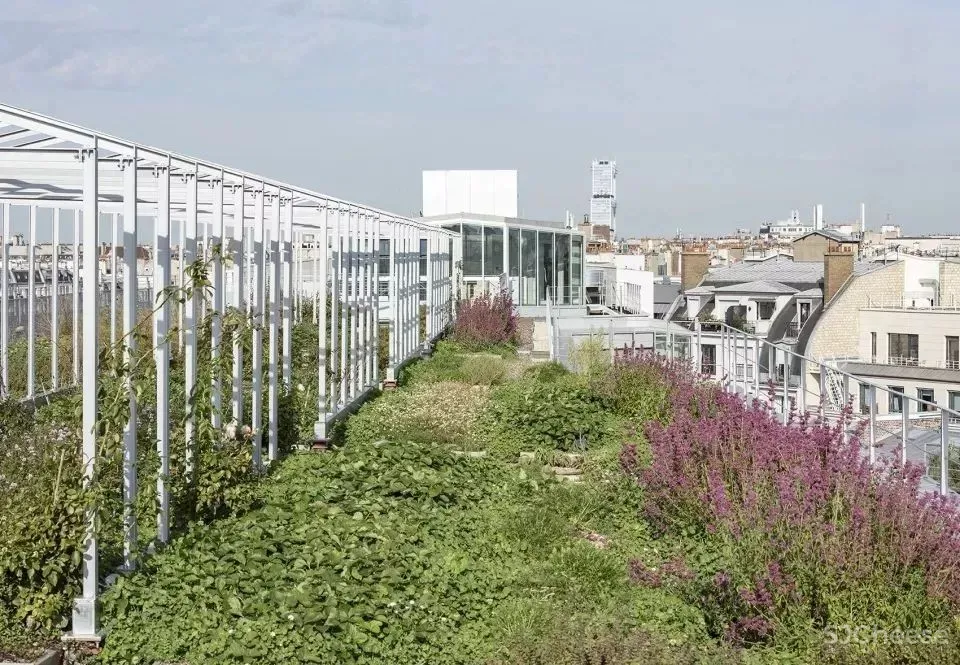 2019年度商业空间十宗“最”,这样的设计太过瘾!