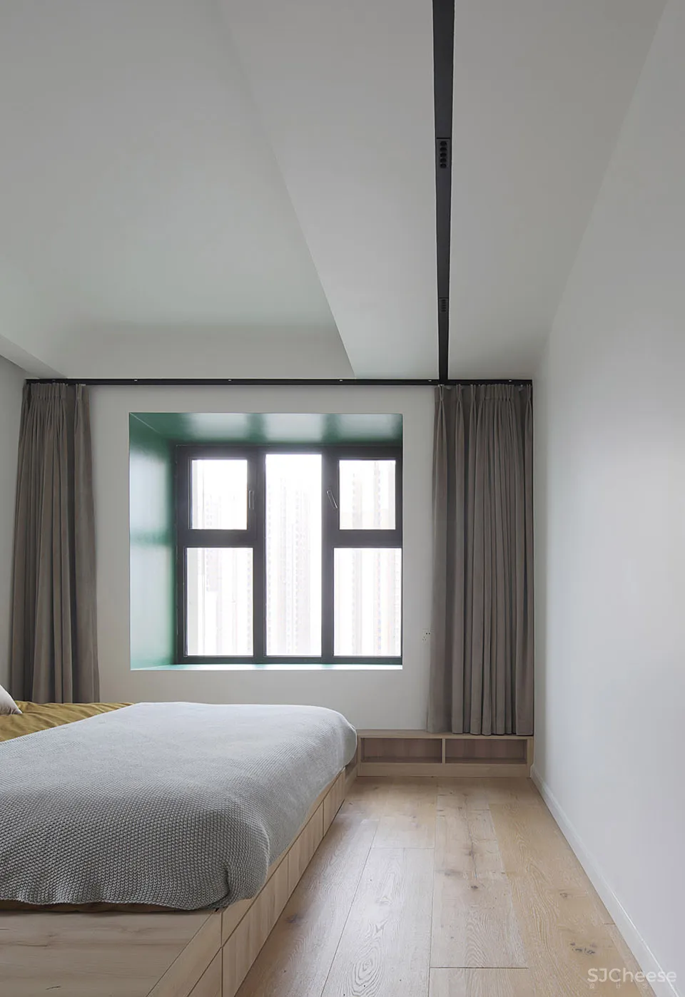 人与猫的四口之家 张冬月