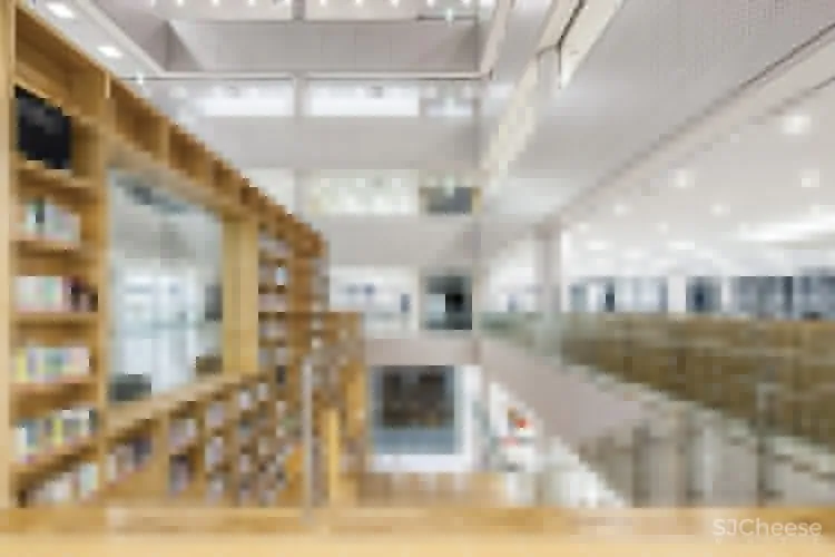 湖西大学图书馆 Bang Keun YOU + DongWoo Architects and Consultants