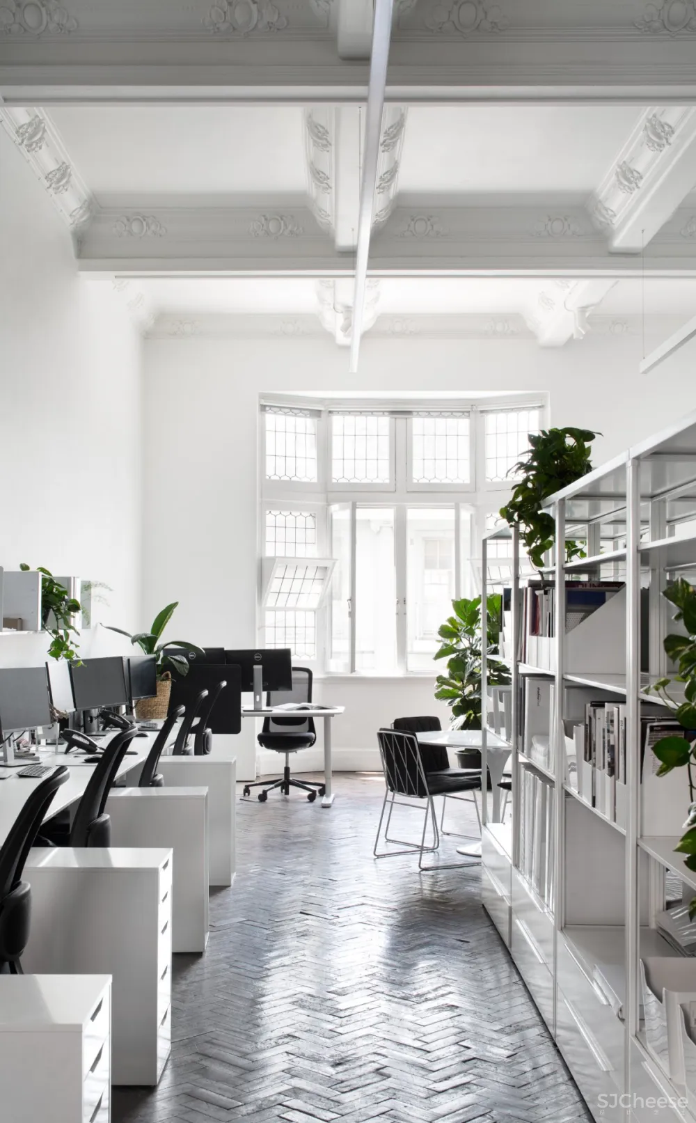 Cera Stribley | Studio 5 , 现代明亮的办公空间