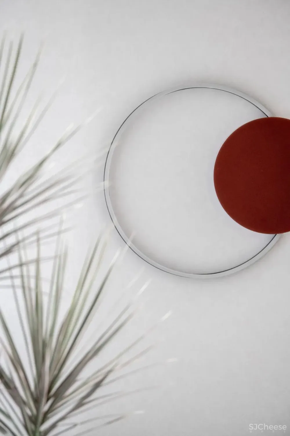 万科 x 大仓 对话自然美学,预见未来新生活