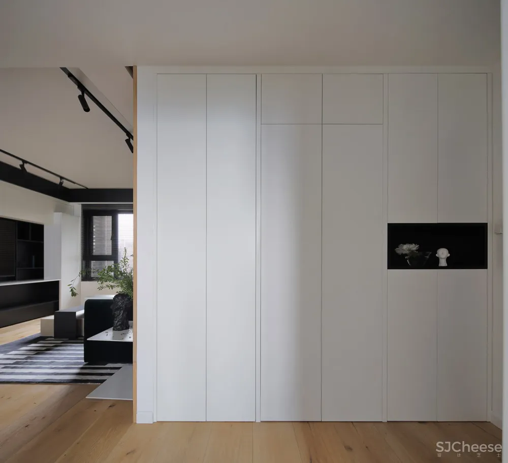 人与猫的四口之家 张冬月