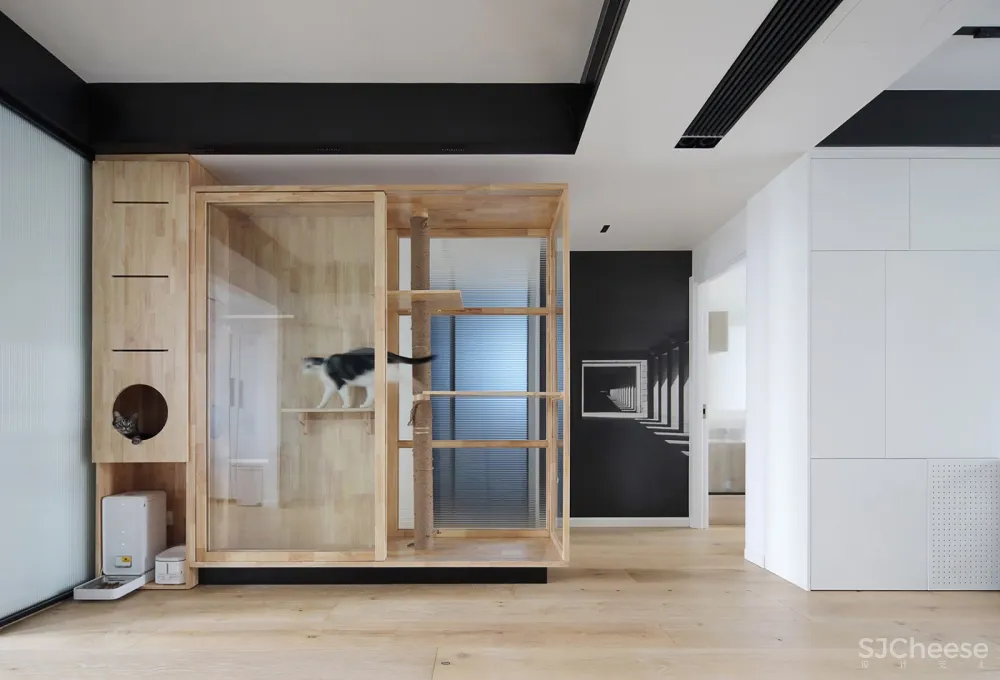 人与猫的四口之家 张冬月