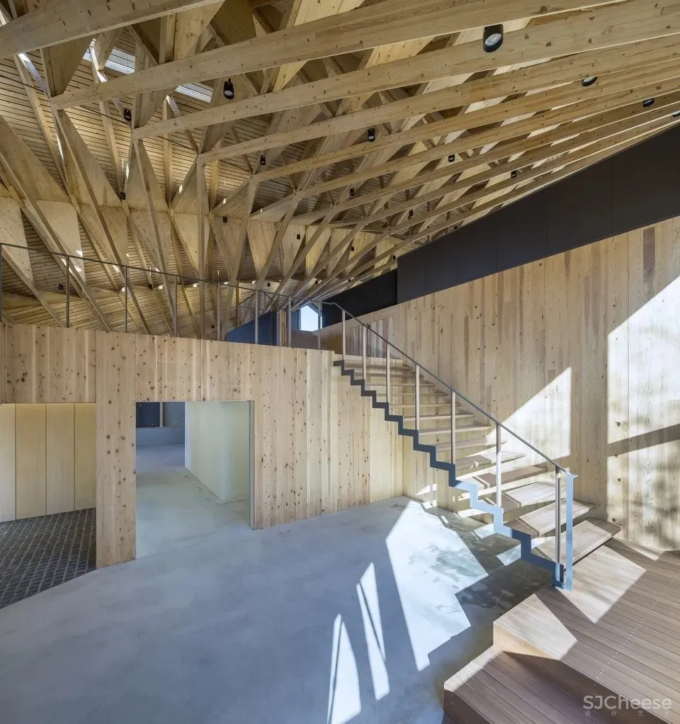 探索木质设计的极限 UENOA