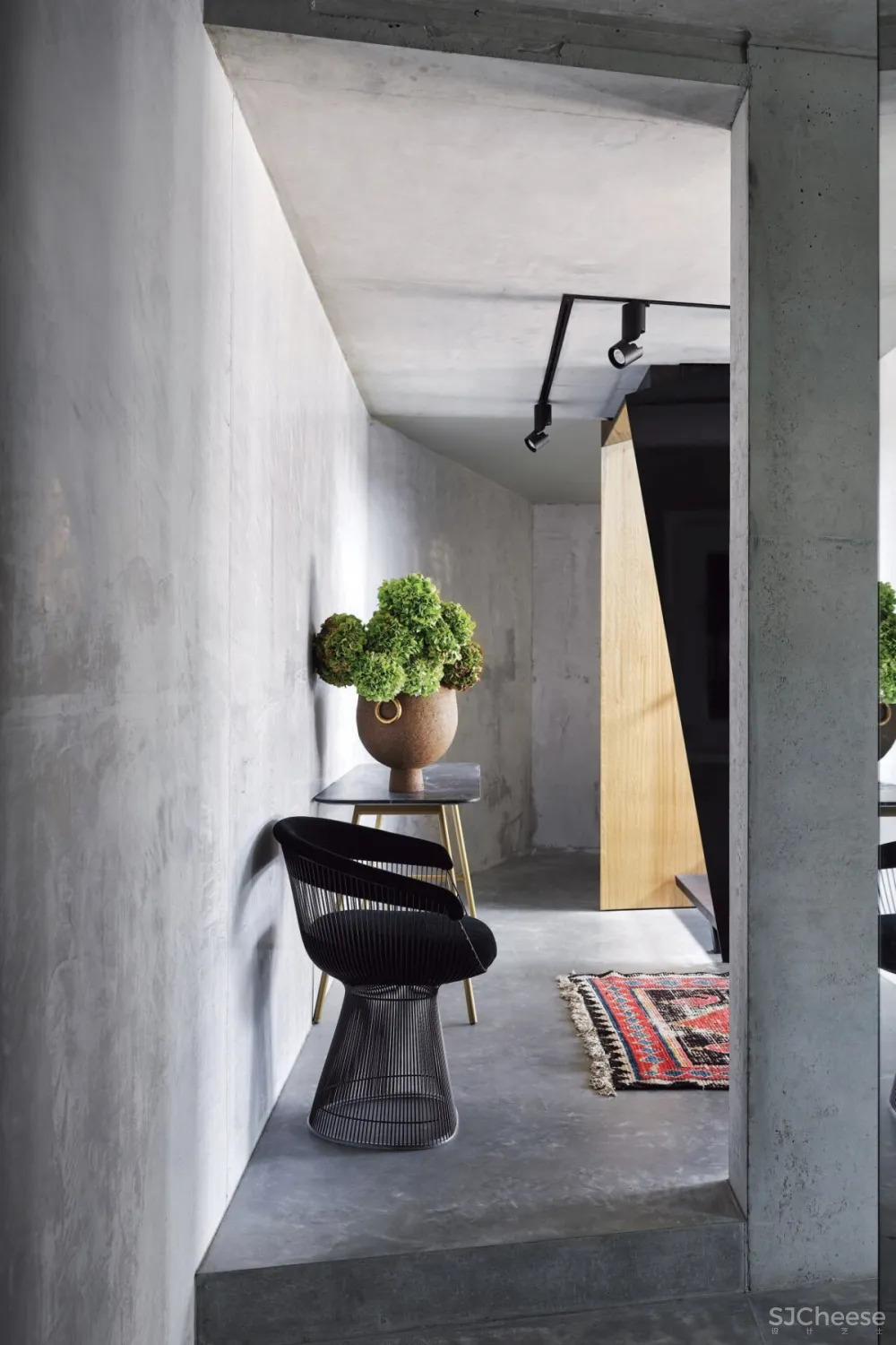 Terroir Architects | Sydney Family Home , 现代大胆的混泥土住宅