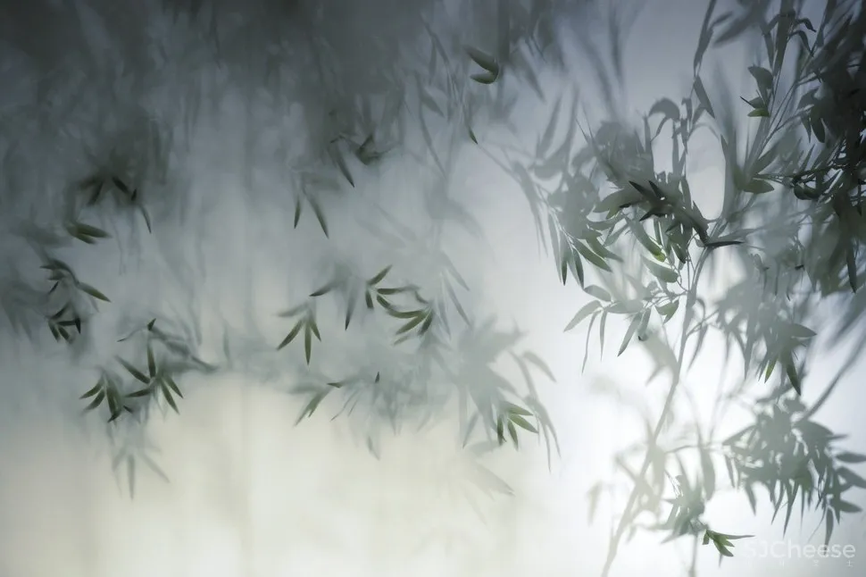 故事空间设计 | 侨信控股集团办公室