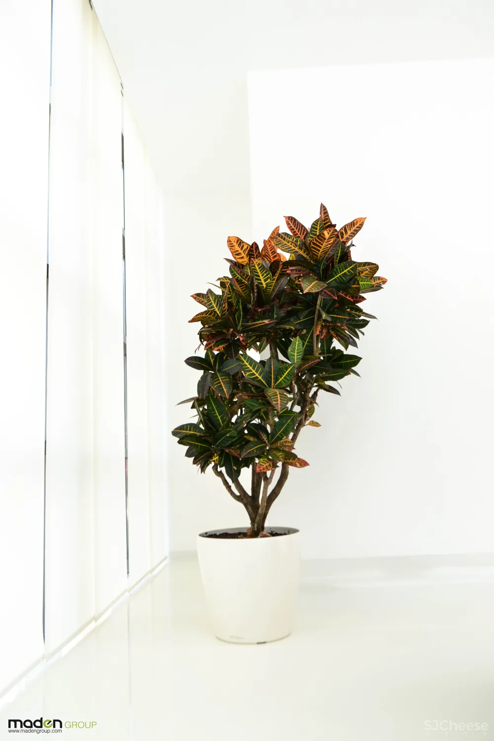 procredit bank kosova