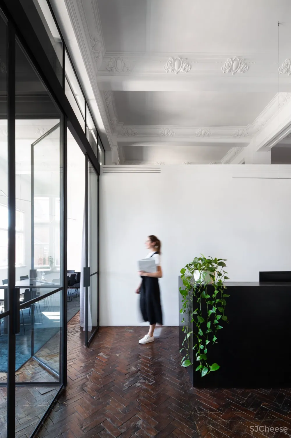 Cera Stribley | Studio 5 , 现代明亮的办公空间