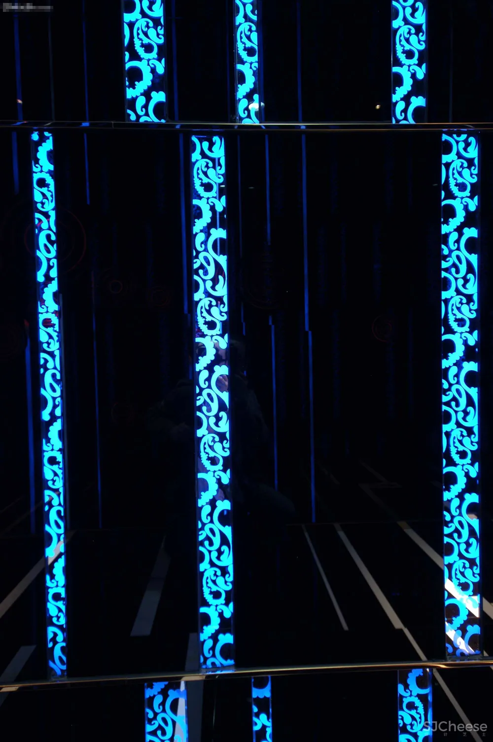 温州宝丽金新南亚会所-4