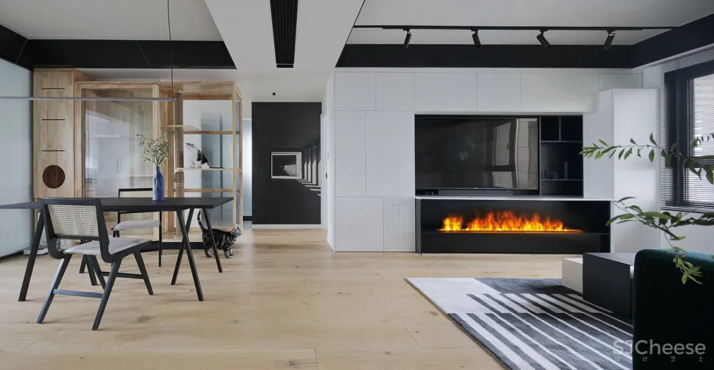 人与猫的四口之家 张冬月