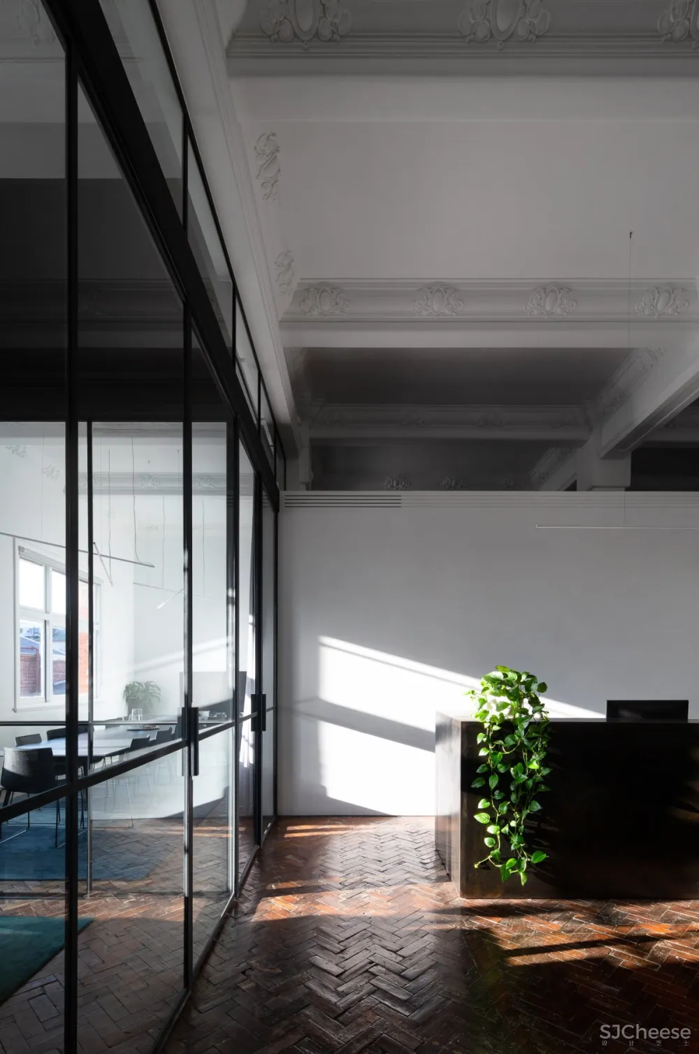 Cera Stribley | Studio 5 , 现代明亮的办公空间