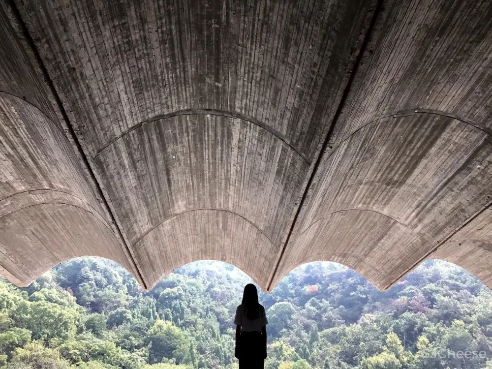 30座国内最值得一看的美术馆设计