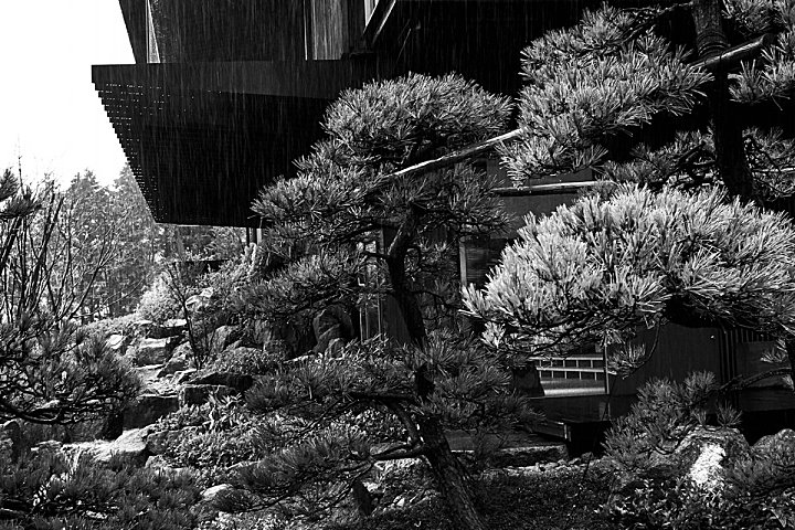 Christian Liaigre & 隈研吾 | Retreat in Kanagawa , 一切都是自然本身