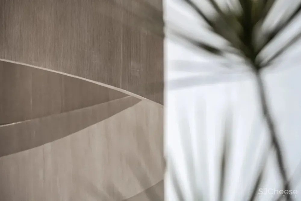 万科 x 大仓 对话自然美学,预见未来新生活