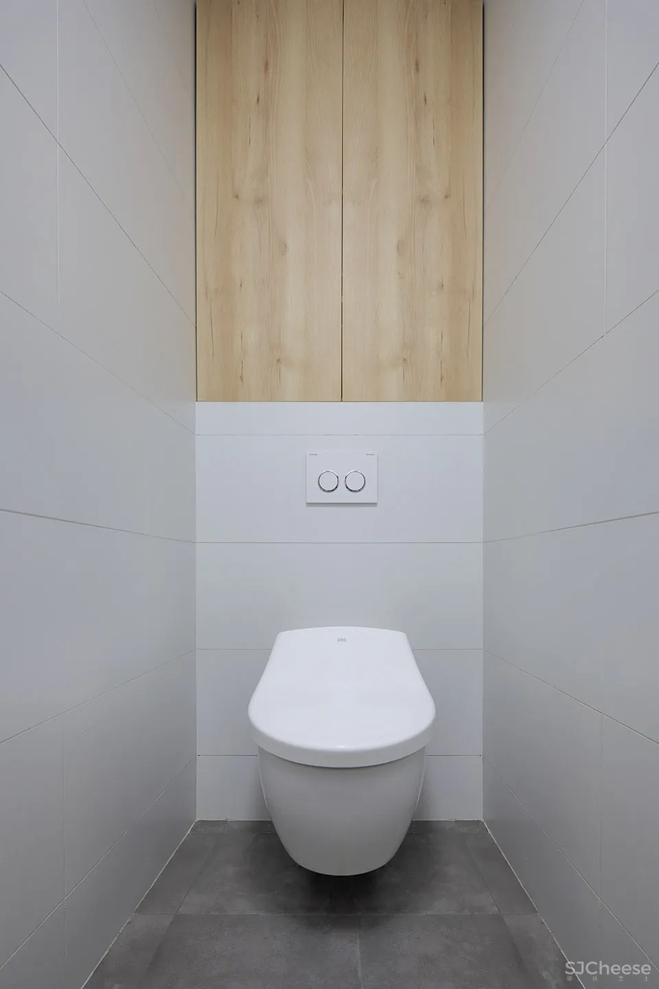 人与猫的四口之家 张冬月