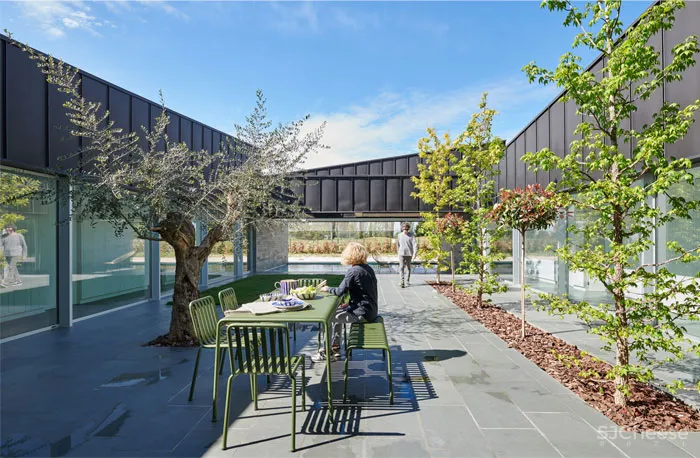 带锌屋顶和大量玻璃幕墙的轻质房屋 Alventosa Morell Arquitectes