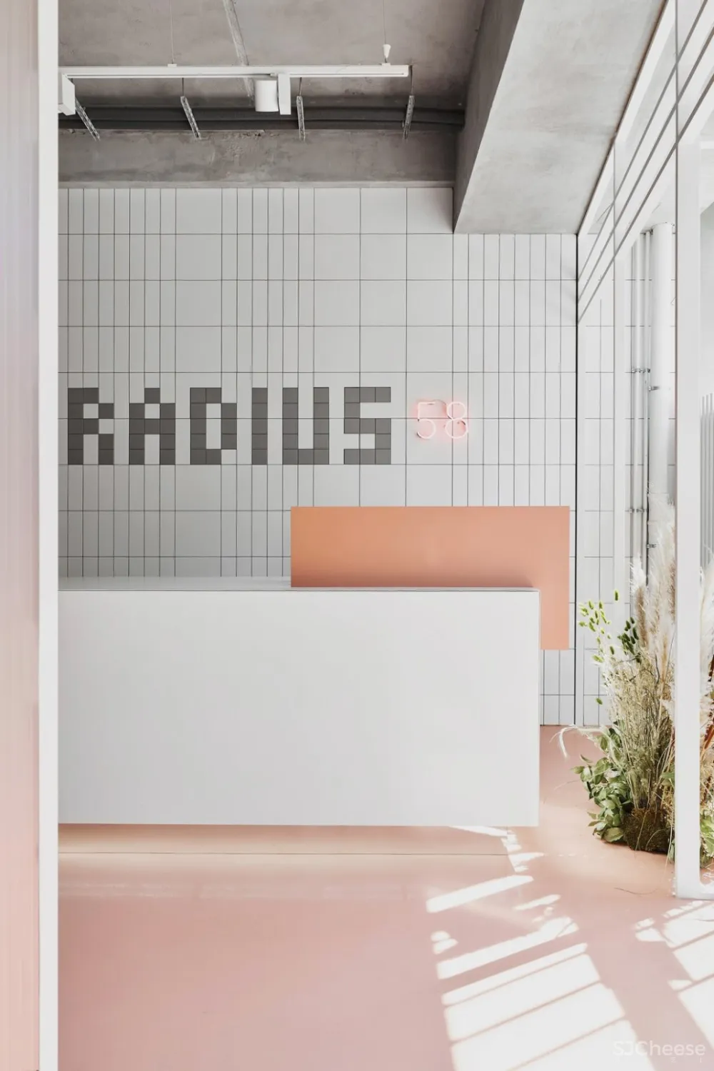 RADIUS 58 optics 超赞眼镜店设计 DA bureau