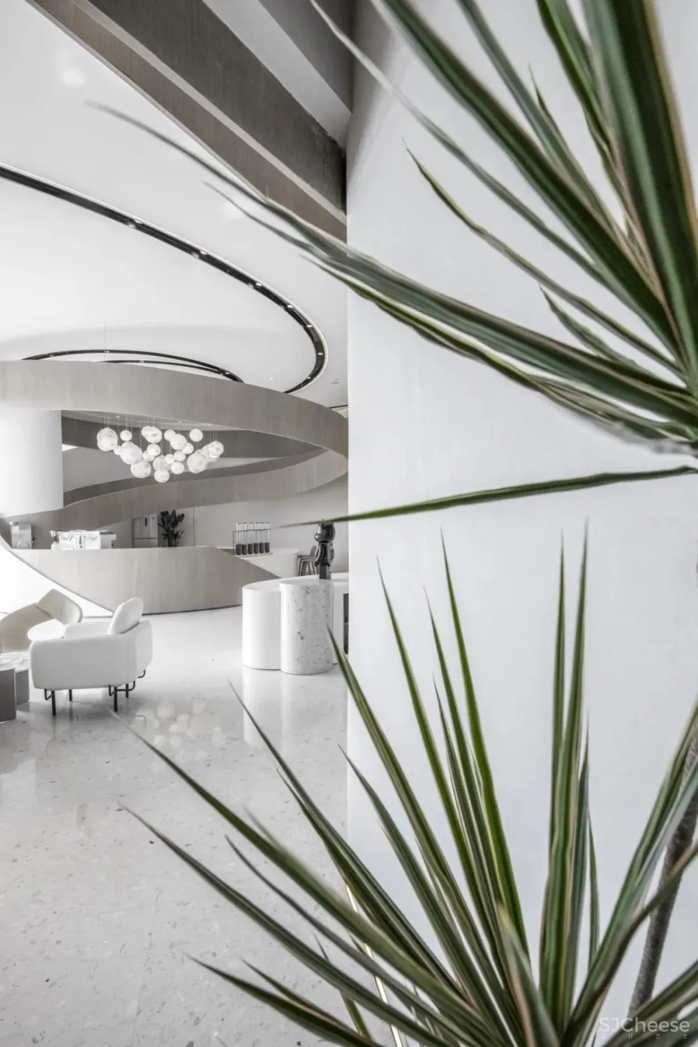 万科 x 大仓 对话自然美学,预见未来新生活