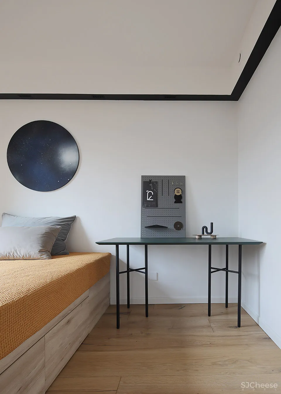 人与猫的四口之家 张冬月