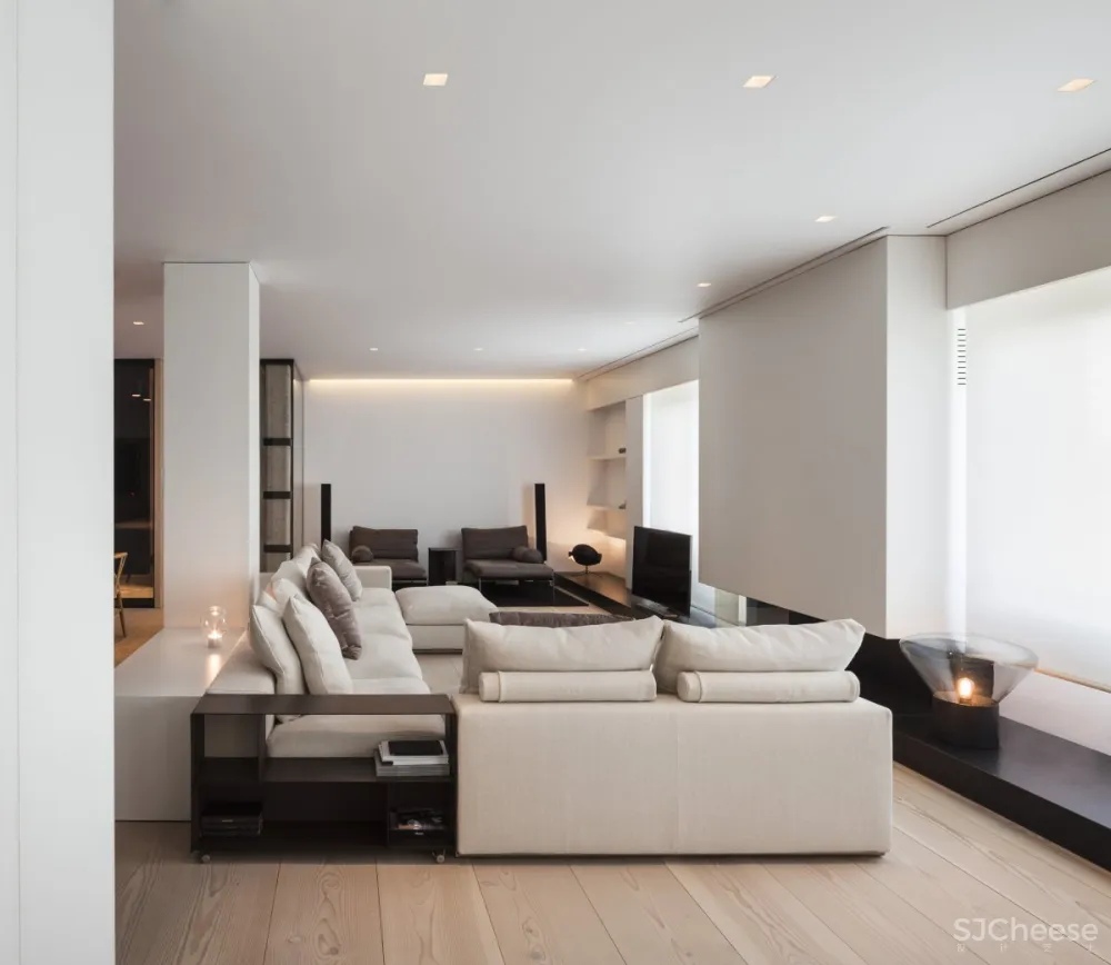 Francesc Rifé | BG Apartment , 经典建筑的顶层公寓