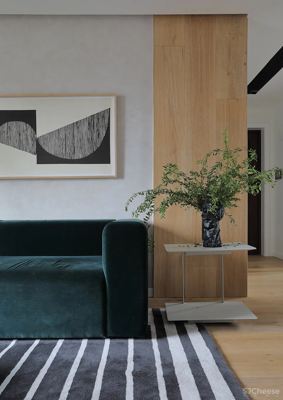 人与猫的四口之家 张冬月