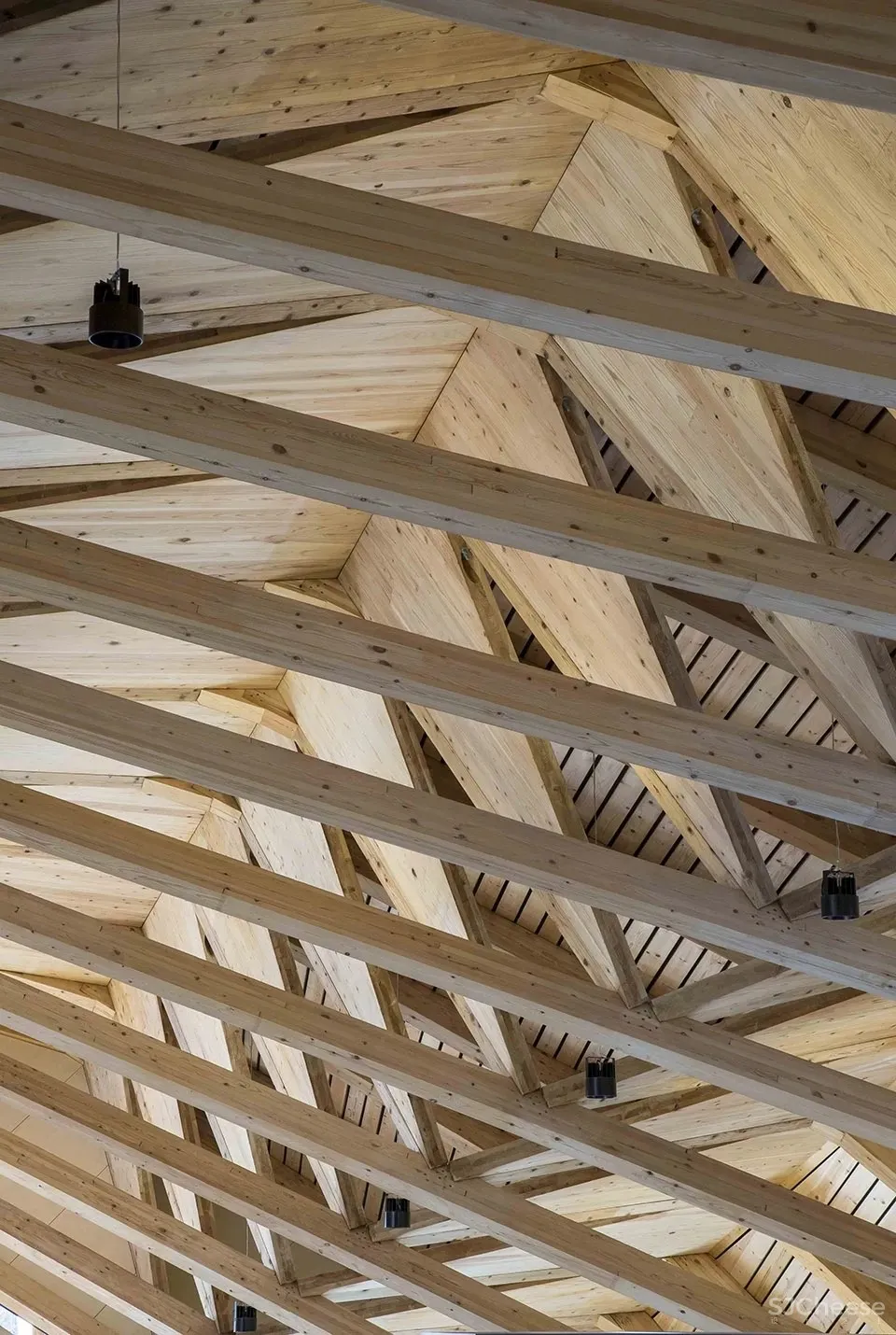 探索木质设计的极限 UENOA