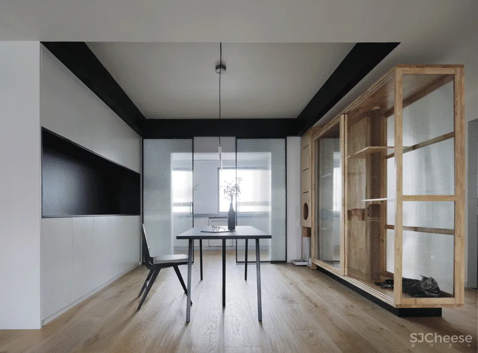 人与猫的四口之家 张冬月