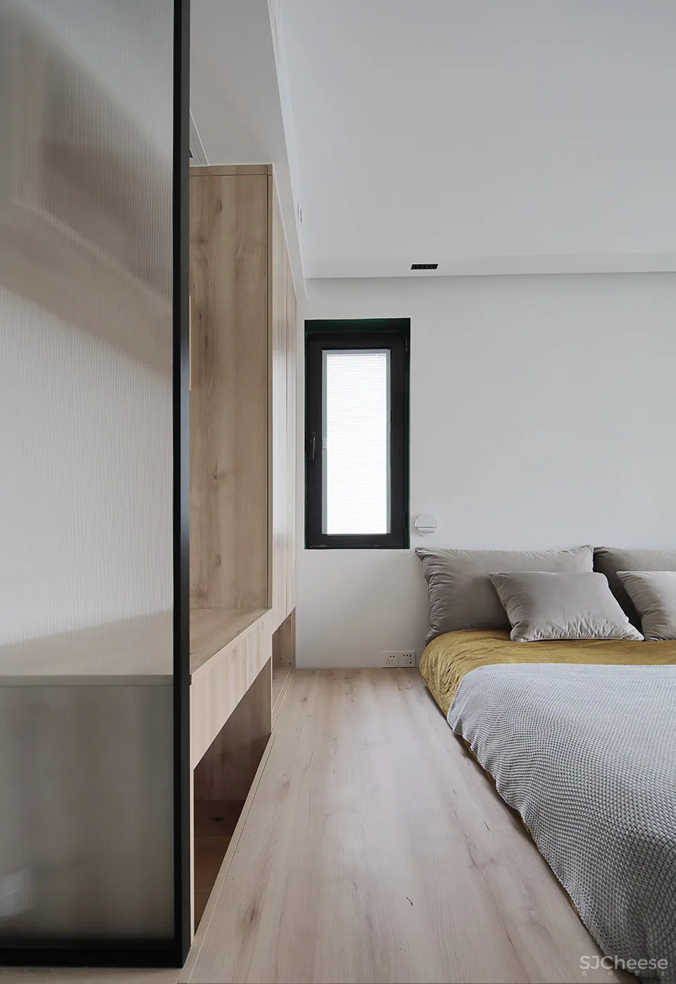 人与猫的四口之家 张冬月