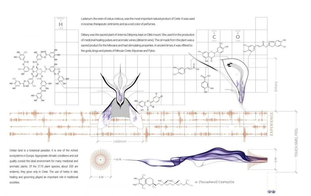 Kitriniaris Associates | Bioaroma Store , 天然的乡土文化建筑