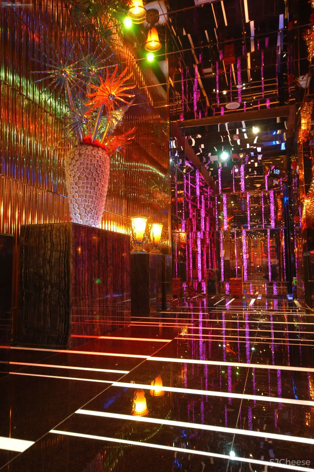 温州宝丽金新南亚会所-3