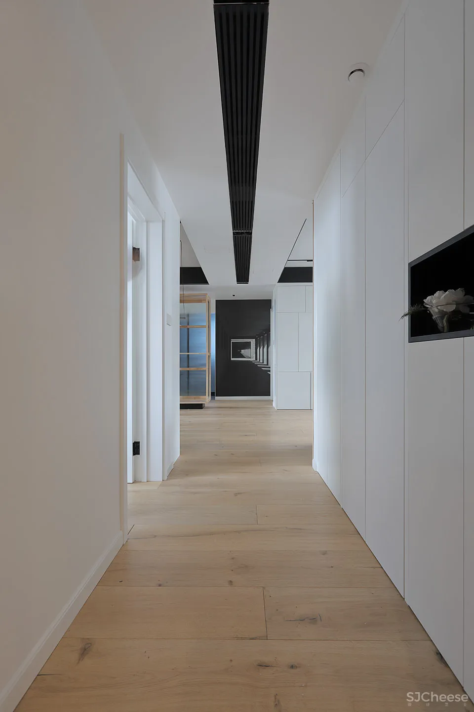 人与猫的四口之家 张冬月