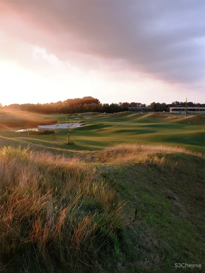 为何顶级设计，都爱心灵治愈的自然质朴！