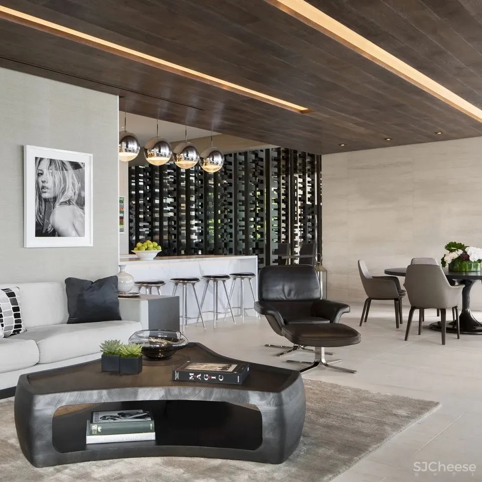 SAOTA,南非最牛的别墅设计!