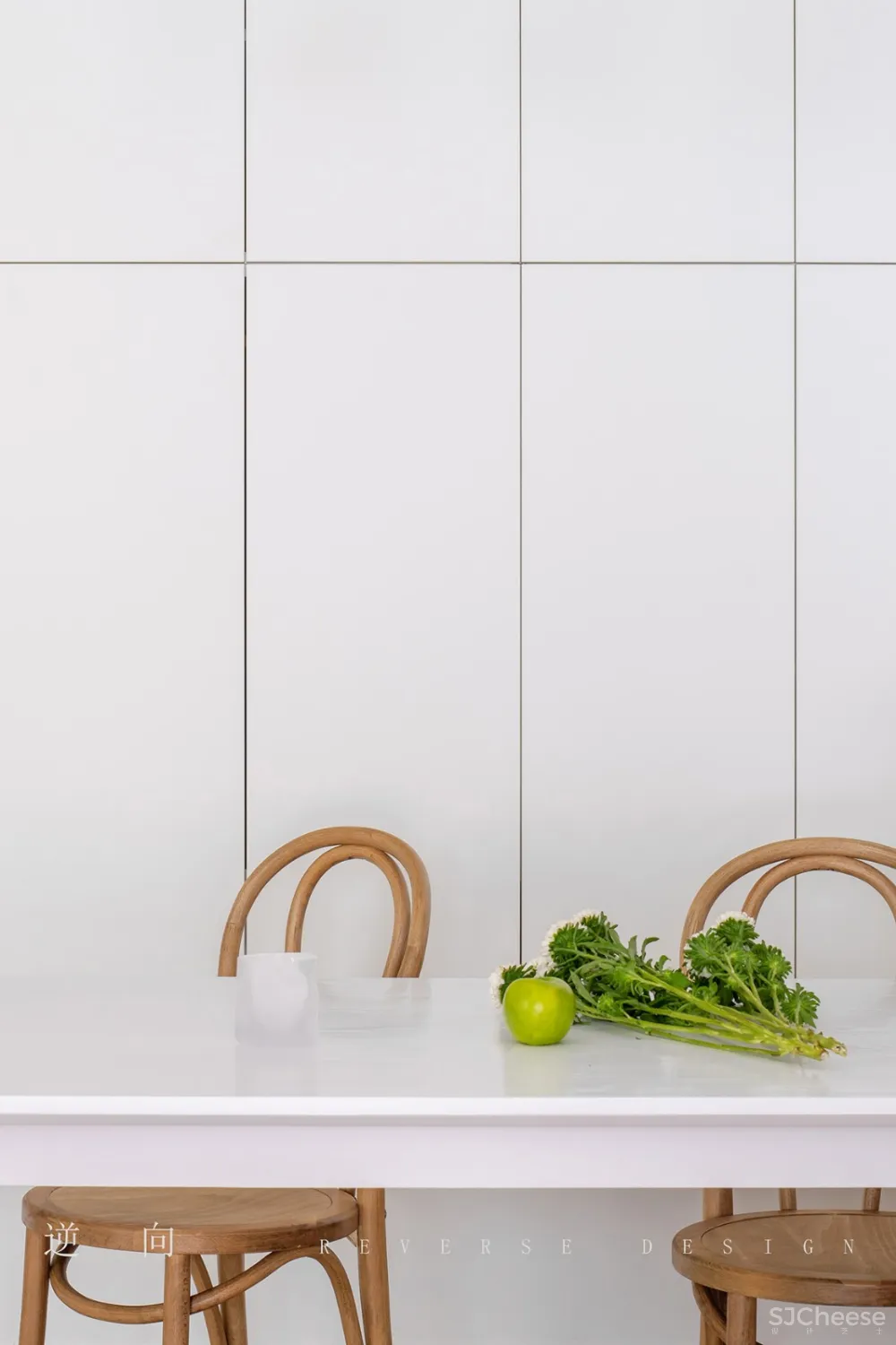 Daylight · 春光无限好