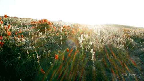 GBD 杜文彪专辑 样板间
