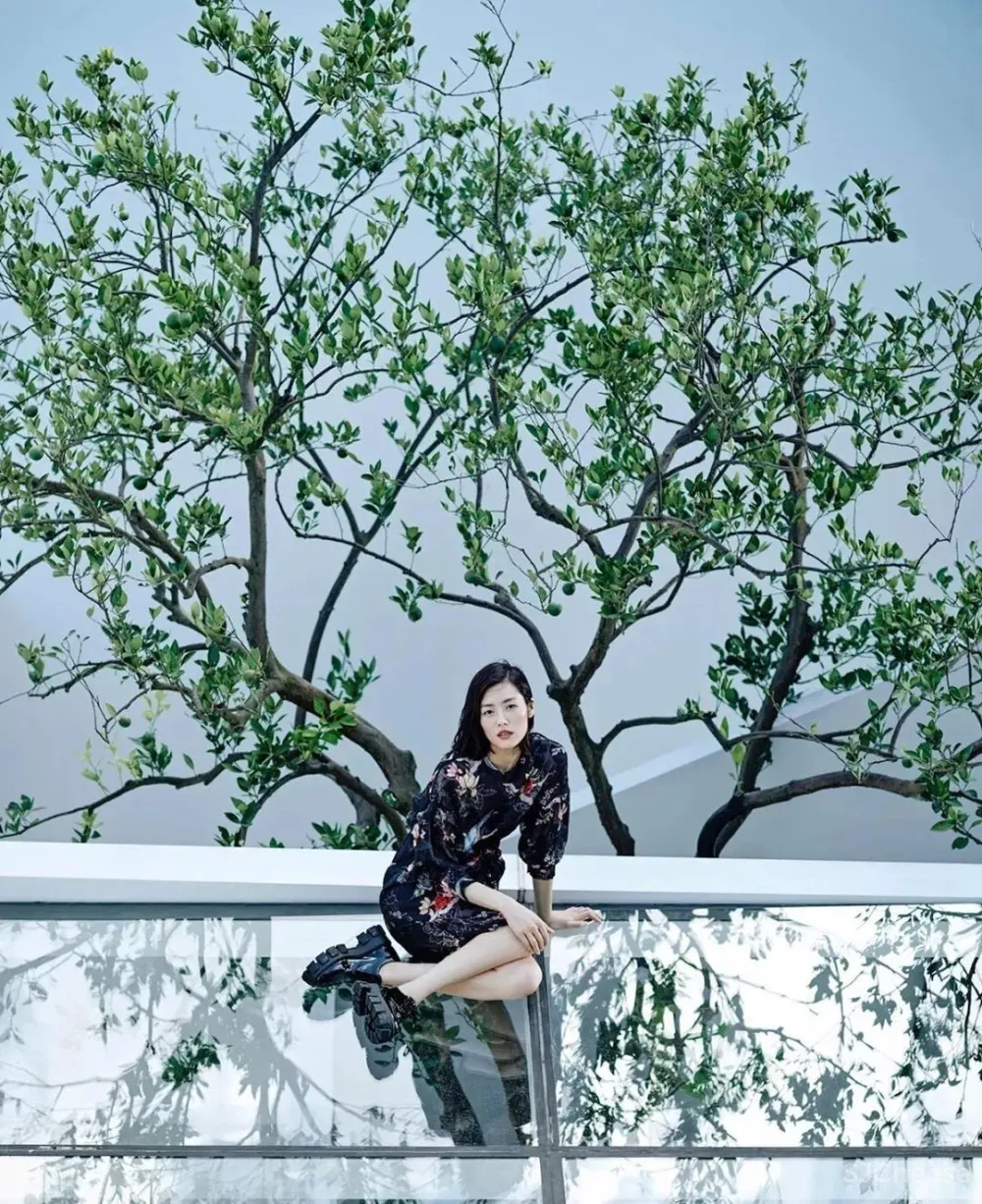 风潮∣今天，带你去6个明星家里看看！