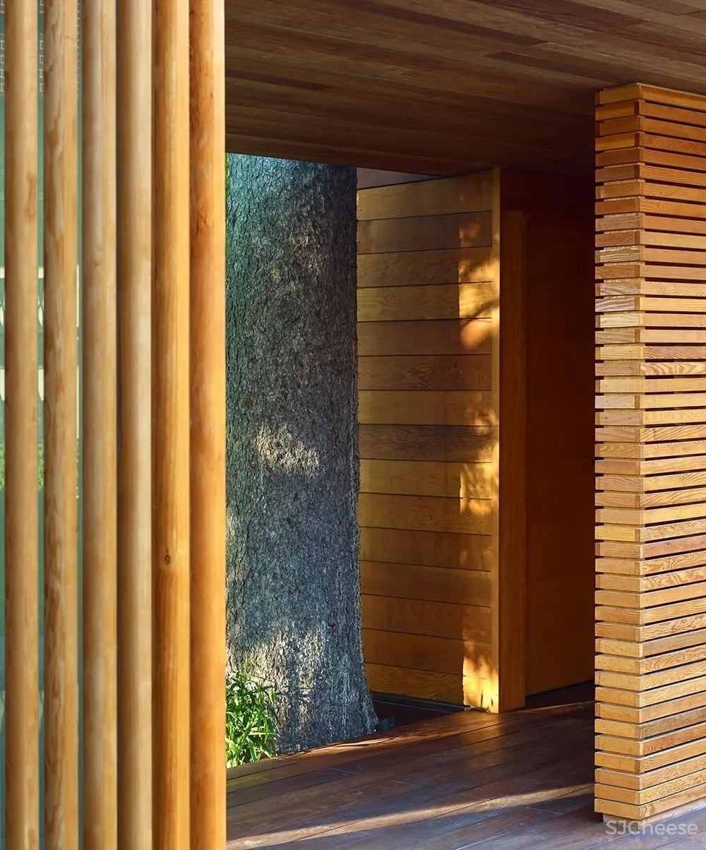 庭院住宅，细节中的自然探索